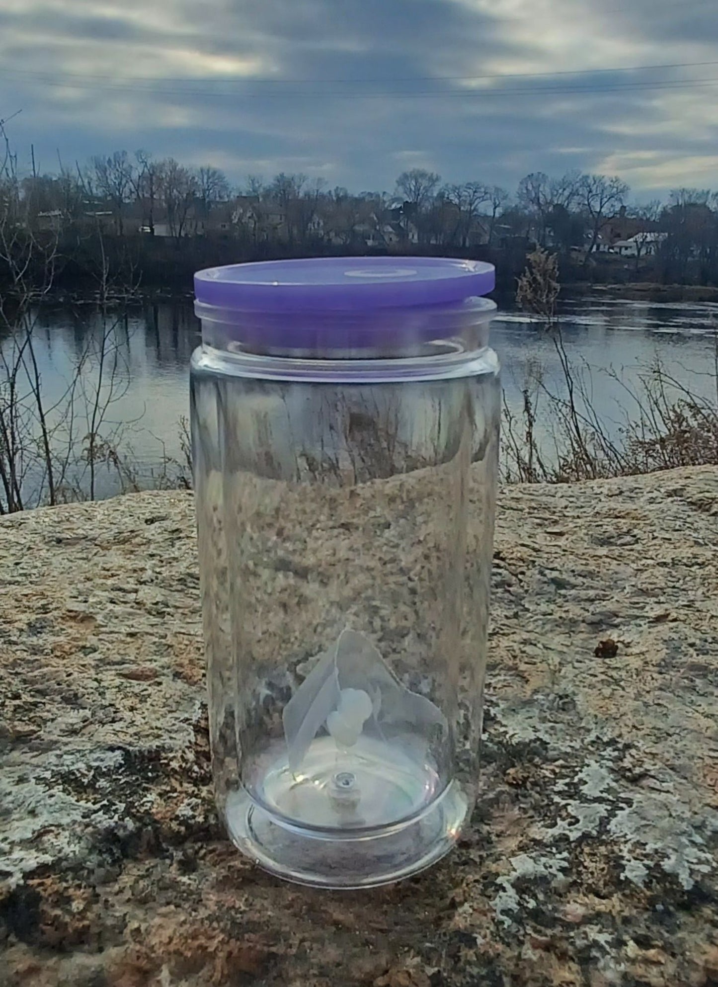 16oz Custom Snow Globe Cup- Purple