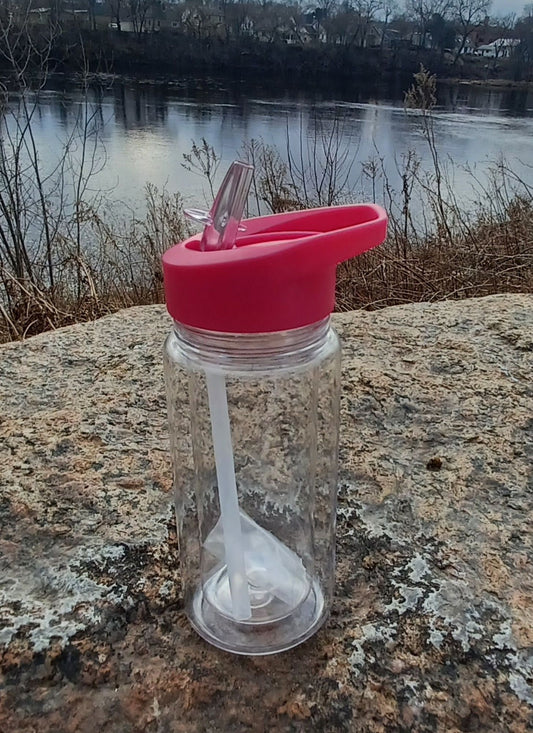 10oz Custom Snow Globe Water Bottle- Magenta
