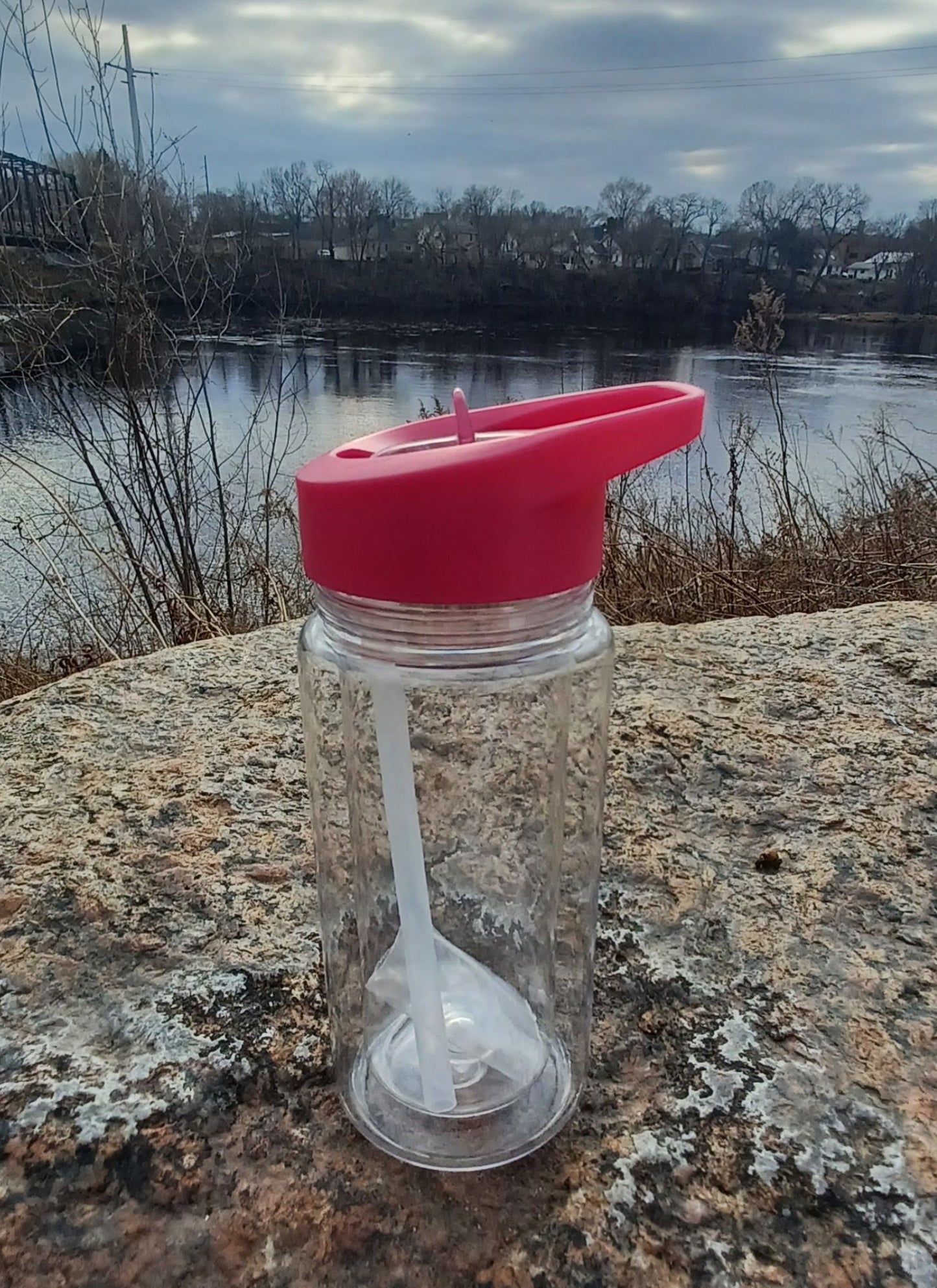 10oz Custom Snow Globe Water Bottle- Magenta